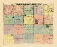 County Map, Washtenaw County 1874